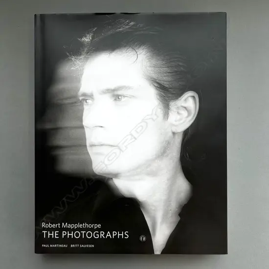 ROBERT MAPPLETHORPE: THE PHOTOGRAPHS